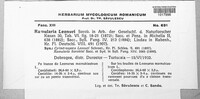 Image Associated With the Occurence